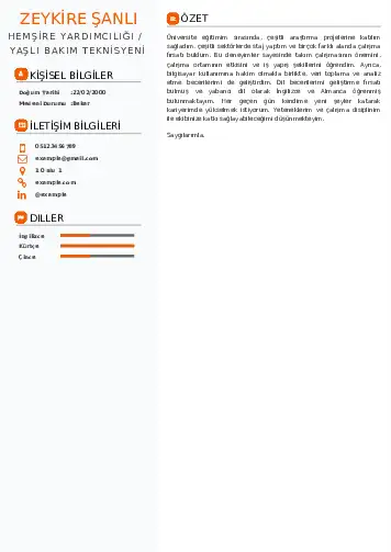 Hasta ve Yaşlı Bakım Elemanı Cv Örnekleri cv indir